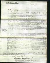 Court of Common Pleas - Mary Shearman-Original Ancestry
