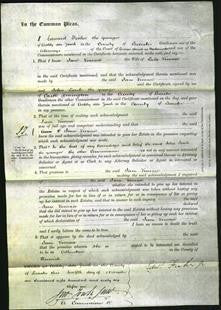 Court of Common Pleas - Jane Vineace-Original Ancestry