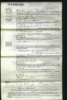 Court of Common Pleas - Caroline Sarah Allen, Emily Hunter-Original Ancestry