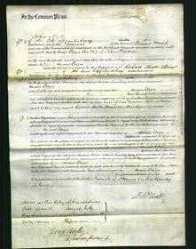 Court of Common Pleas - Eliza Phillips-Original Ancestry