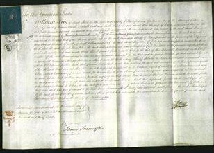 Court of Common Pleas - Sarah Rees-Original Ancestry