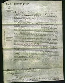 Court of Common Pleas - Elizabeth Gray-Original Ancestry