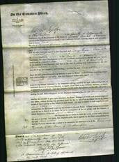 Court of Common Pleas - Jane Allen-Original Ancestry