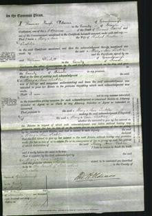 Court of Common Pleas - Mary Ann Fickler-Original Ancestry