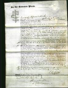 Court of Common Pleas - Eliza Graburn-Original Ancestry