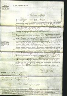 Court of Common Pleas - Elizabeth Congreve and Mary Ann Dobson-Original Ancestry