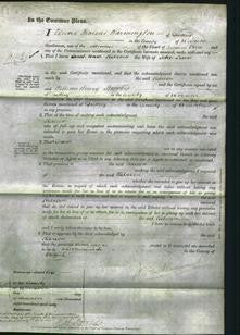 Court of Common Pleas - Rebecca Lewis-Original Ancestry