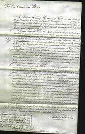 Court of Common Pleas - Louisa Miles-Original Ancestry