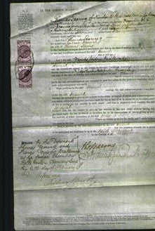 Court of Common Pleas - Hannah Searing-Original Ancestry