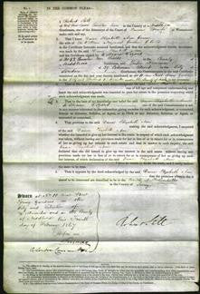 Court of Common Pleas - Dame Elizabeth Ann Gomm-Original Ancestry