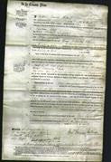 Court of Common Pleas - Eliza Langridge-Original Ancestry