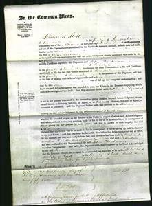 Court of Common Pleas - Jane Lorimer-Original Ancestry