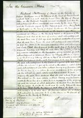 Court of Common Pleas - Ann Allen-Original Ancestry