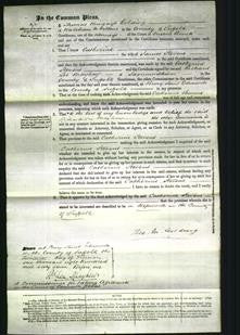 Court of Common Pleas - Catherine Stevens-Original Ancestry