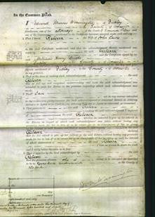 Court of Common Pleas - Rebecca Lewis-Original Ancestry