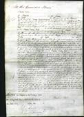 Court of Common Pleas - Jane Langton-Original Ancestry