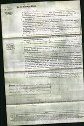 Court of Common Pleas - Emma Fitzpatrick-Original Ancestry