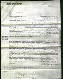 Court of Common Pleas - Matilda Harrisson-Original Ancestry
