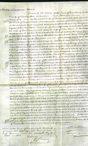 Court of Common Pleas - Margaret Davies and Mary Davies-Original Ancestry