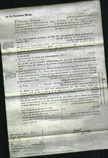 Court of Common Pleas - Mary Swinburne-Original Ancestry