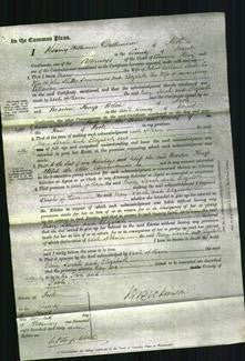 Court of Common Pleas - Mary Warland, Sarah Simmonds, Elizabeth Killaway-Original Ancestry