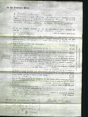 Court of Common Pleas - Susan Mary Chick-Original Ancestry