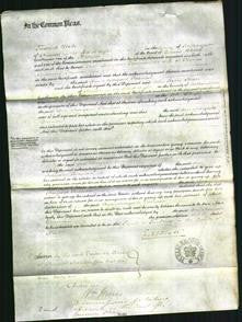 Court of Common Pleas - Ann Margaret Foreman-Original Ancestry