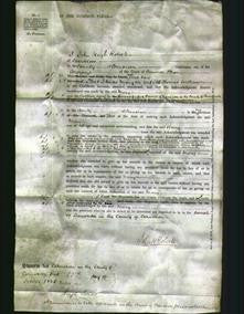 Court of Common Pleas - Mary Williams-Original Ancestry