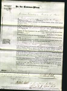 Court of Common Pleas - Elizabeth Collier-Original Ancestry