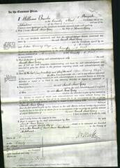 Court of Common Pleas - Sarah Anne Gray-Original Ancestry