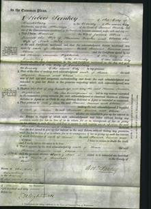 Court of Common Pleas - Harriet Ellen, Emma Fowler and Clara Miles-Original Ancestry