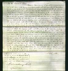 Court of Common Pleas - Ann Webster-Original Ancestry