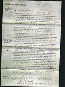 Court of Common Pleas - Mary Teal, Elizabeth Hill, Sarah Hutchinson-Original Ancestry