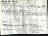 Deed by Married Women - Ann Laura Thorold-Original Ancestry