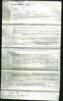 Court of Common Pleas - Rachael Wetton-Original Ancestry