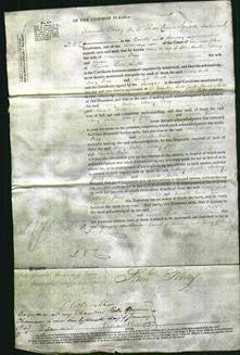 Court of Common Pleas - Mary Bull, Mary Pegg and Sarah Bull-Original Ancestry