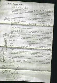 Court of Common Pleas - Jane King-Original Ancestry