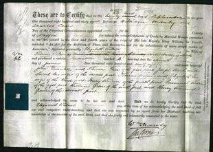 Court of Common Pleas - Eliza Nuthall-Original Ancestry