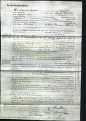 Court of Common Pleas - Maria Helms-Original Ancestry