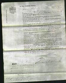 Court of Common Pleas - Jane Poile-Original Ancestry