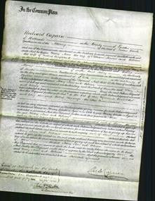 Court of Common Pleas - Mary Ann Jesson and Rebecca Coupland-Original Ancestry