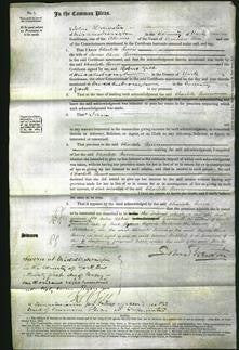 Court of Common Pleas - Charlotte Purves-Original Ancestry