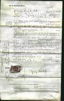 Court of Common Pleas - Mary Ann Allen-Original Ancestry