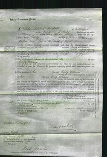 Court of Common Pleas - Emily Williams-Original Ancestry