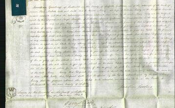 Court of Common Pleas - Mary Curdy-Original Ancestry