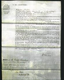 Court of Common Pleas - Ann Matthews-Original Ancestry