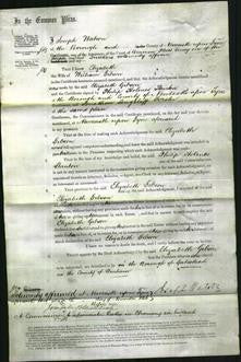 Court of Common Pleas - Elizabeth Gibson-Original Ancestry