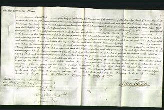 Court of Common Pleas - Lizza Birt-Original Ancestry