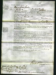 Court of Common Pleas - Elizabeth Balding-Original Ancestry