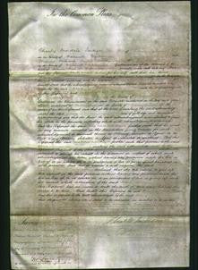 Court of Common Pleas - Selina Wainewright-Original Ancestry